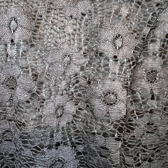 Torrid Black Lace Blouse with long sleeves and an open back. Turtleneck. Size 2X - Picture 3 of 6